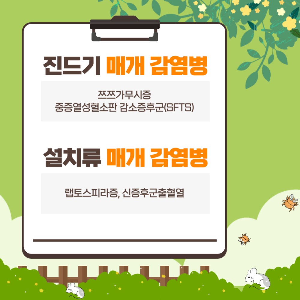 진드기 매개 감염병 쯔쯔가무시증 중증열성혈소판 감소증후군(SFTS) 설치류 매개 감염병 랩토스피라증, 신증후군출혈열