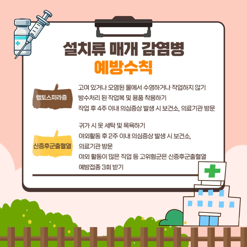 설치류 매개 감염병 예방수칙 랩토스피라증 고여 있거나 오염된 물에서 수영하거나 작업하지 않기 방수처리 된 작업복 및 용품 착용하기 작업 후 4주 이내 의심증상 발생 시 보건소, 의료기관 방문 귀가 시 옷 세탁 및 목욕하기 야외활동 후 2주 이내 의심증상 발생 시 보건소, 의료기관 방문 신증후군출혈열 야외 활동이 많은 직업 등 고위험군은 신증후군출혈열 예방접종 3회 받기