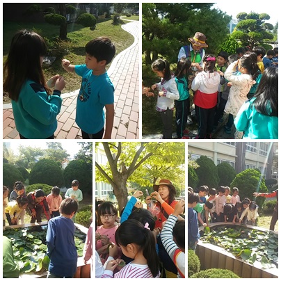 토월초 자연이야기_3