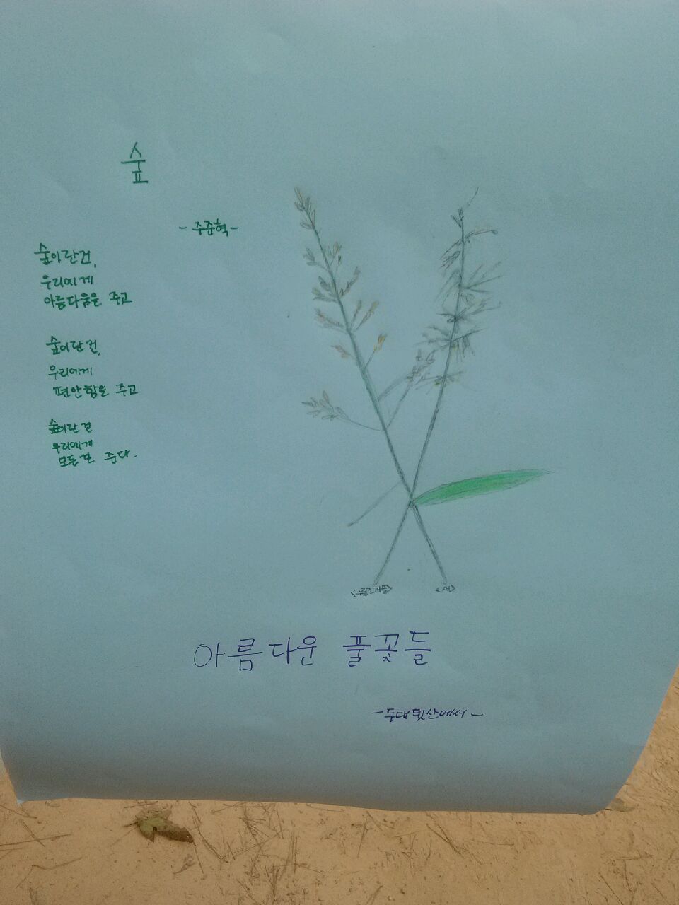 인증수련활동 1185호 에코투어링 활동사진_13