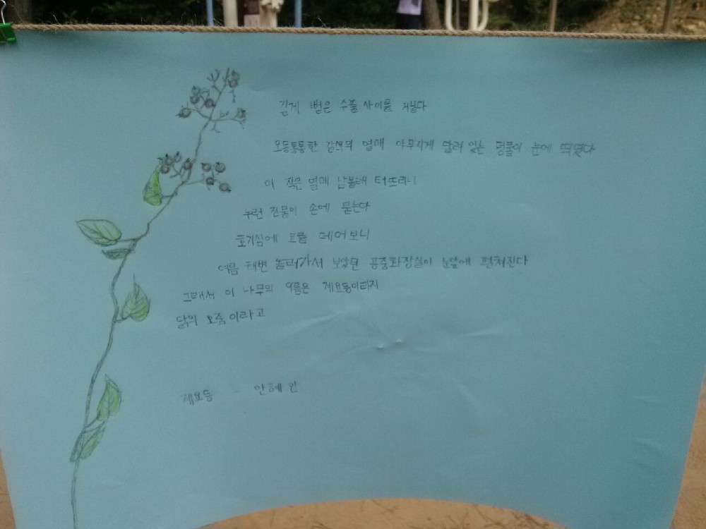 인증수련활동 1185호 에코투어링 활동사진_12