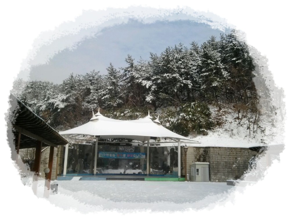 가는 2012, 오는 2013, 하얀 눈과 함께 한 늘푸른전당_4