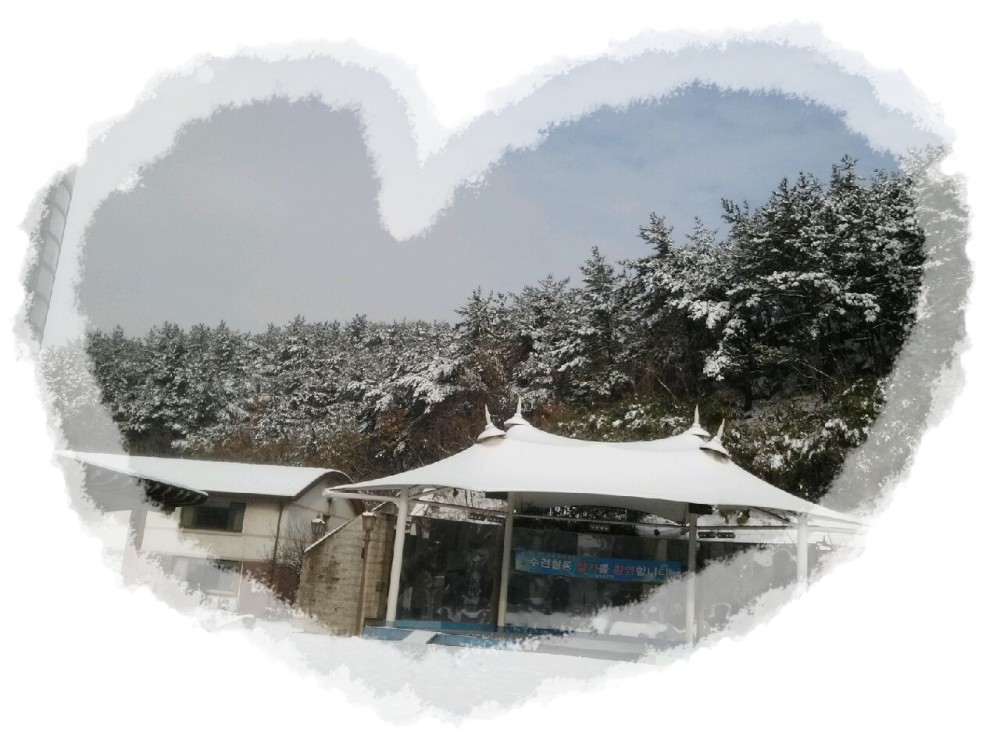 가는 2012, 오는 2013, 하얀 눈과 함께 한 늘푸른전당_5