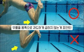 (건강+행복) 창원시설공단 '수영 영법(평영)' 동영상 안내 이미지