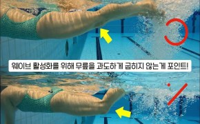 창원시설공단 '수영 영법(접영)' 동영상 안내 이미지