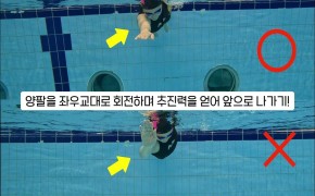 (건강+행복) 창원시설공단 '수영 영법(자유형)' 동영상 안내 이미지