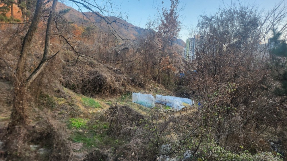 본문 내용 시작에 대체 텍스트 제공