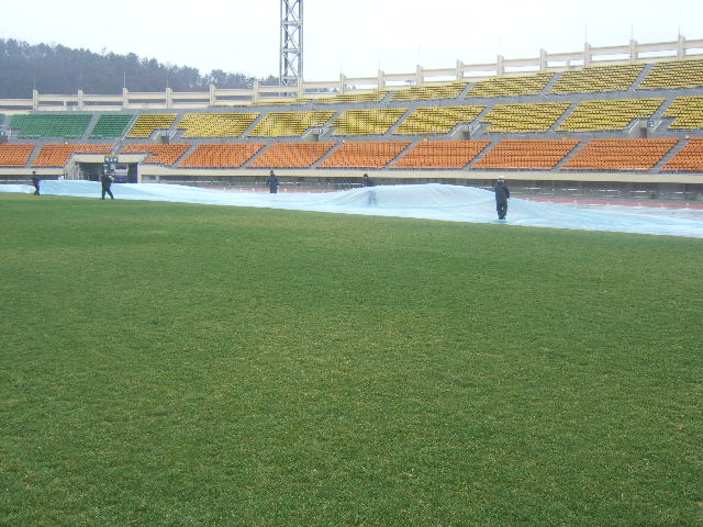 종합운동장 주경기장 잔디관리_1
