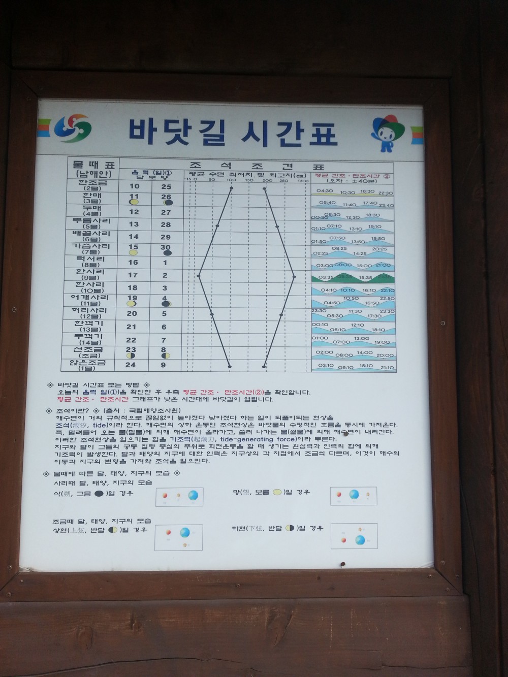 신비의 바닷길 동섬_3