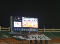 월드컵 스위전 응원전 게시물 미리보기 사진