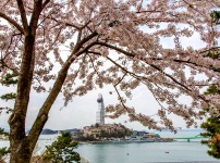2015. 해양공원 비경찾기 사진콘테스트(봄 / 동상) 게시물 미리보기 사진