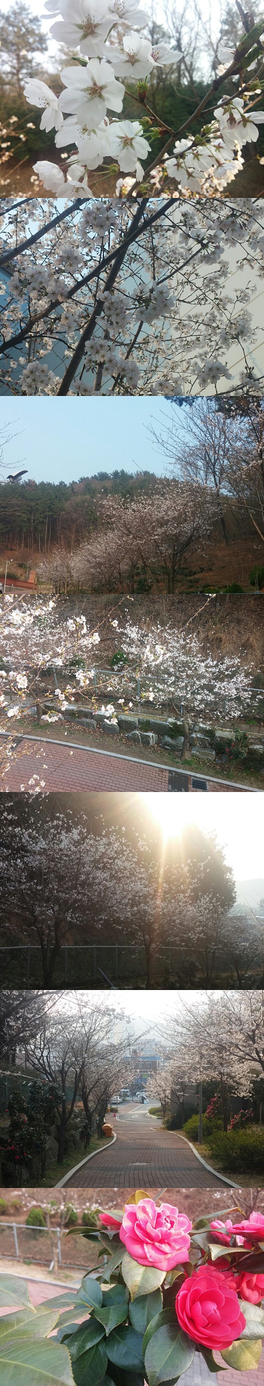 우리누리에 봄이 왔어요~_1
