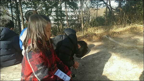 [자연아 놀자 - 숲과의 대화 쉿!자연의 소리 찾는 중이예요]_8