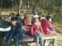 [자연아 놀자 - 숲과의 대화 쉿!자연의 소리 찾는 중이예요] 게시물 미리보기 사진
